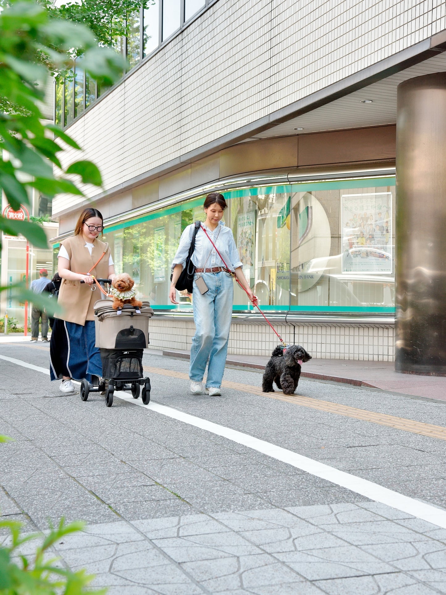 愛犬と仙台ストリートで撮影｜URBAN DOG CULTUREフォトセッション【CUUN掲載特典付き】