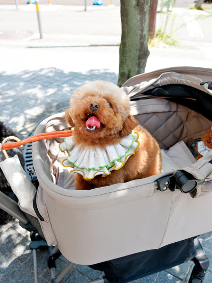 愛犬と仙台ストリートで撮影｜URBAN DOG CULTUREフォトセッション【CUUN掲載特典付き】