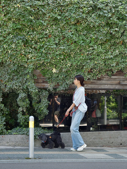 愛犬と仙台ストリートで撮影｜URBAN DOG CULTUREフォトセッション【CUUN掲載特典付き】