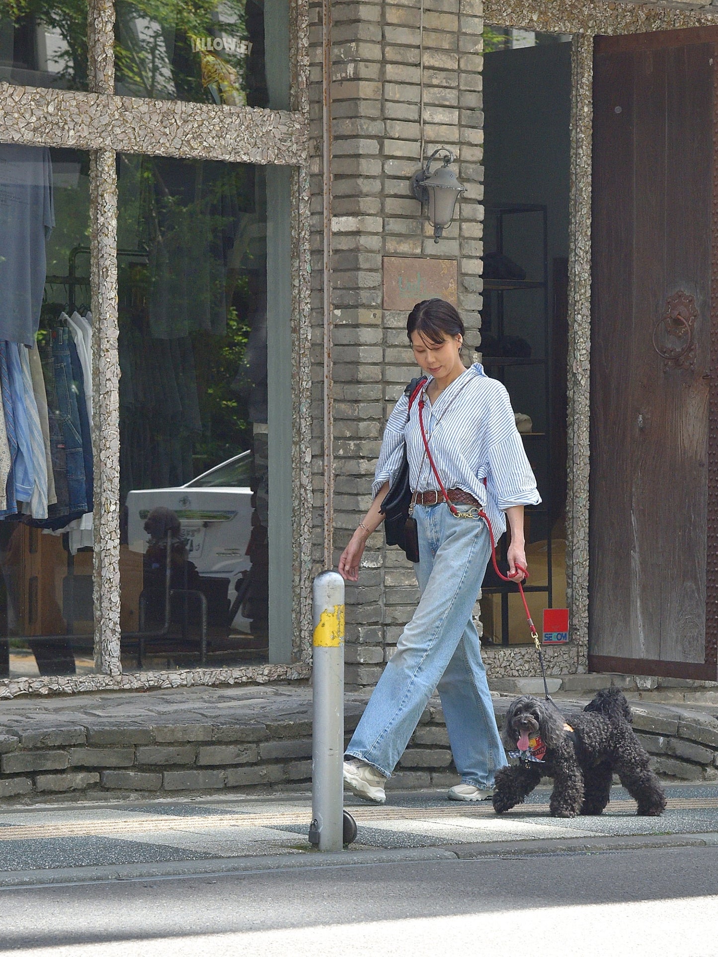 愛犬と仙台ストリートで撮影｜URBAN DOG CULTUREフォトセッション【CUUN掲載特典付き】