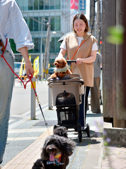 愛犬と仙台ストリートで撮影｜URBAN DOG CULTUREフォトセッション【CUUN掲載特典付き】