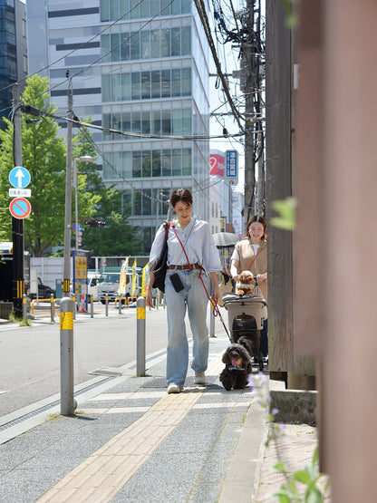 愛犬と仙台ストリートで撮影｜URBAN DOG CULTUREフォトセッション【CUUN掲載特典付き】