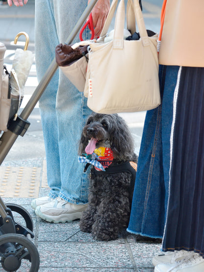 愛犬と仙台ストリートで撮影｜URBAN DOG CULTUREフォトセッション【CUUN掲載特典付き】
