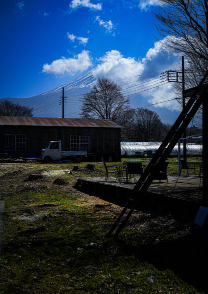 【2026年5月30日-31日】愛犬と遠足｜富士山×朝霧高原｜家族で過ごす1日体験（CUUN）