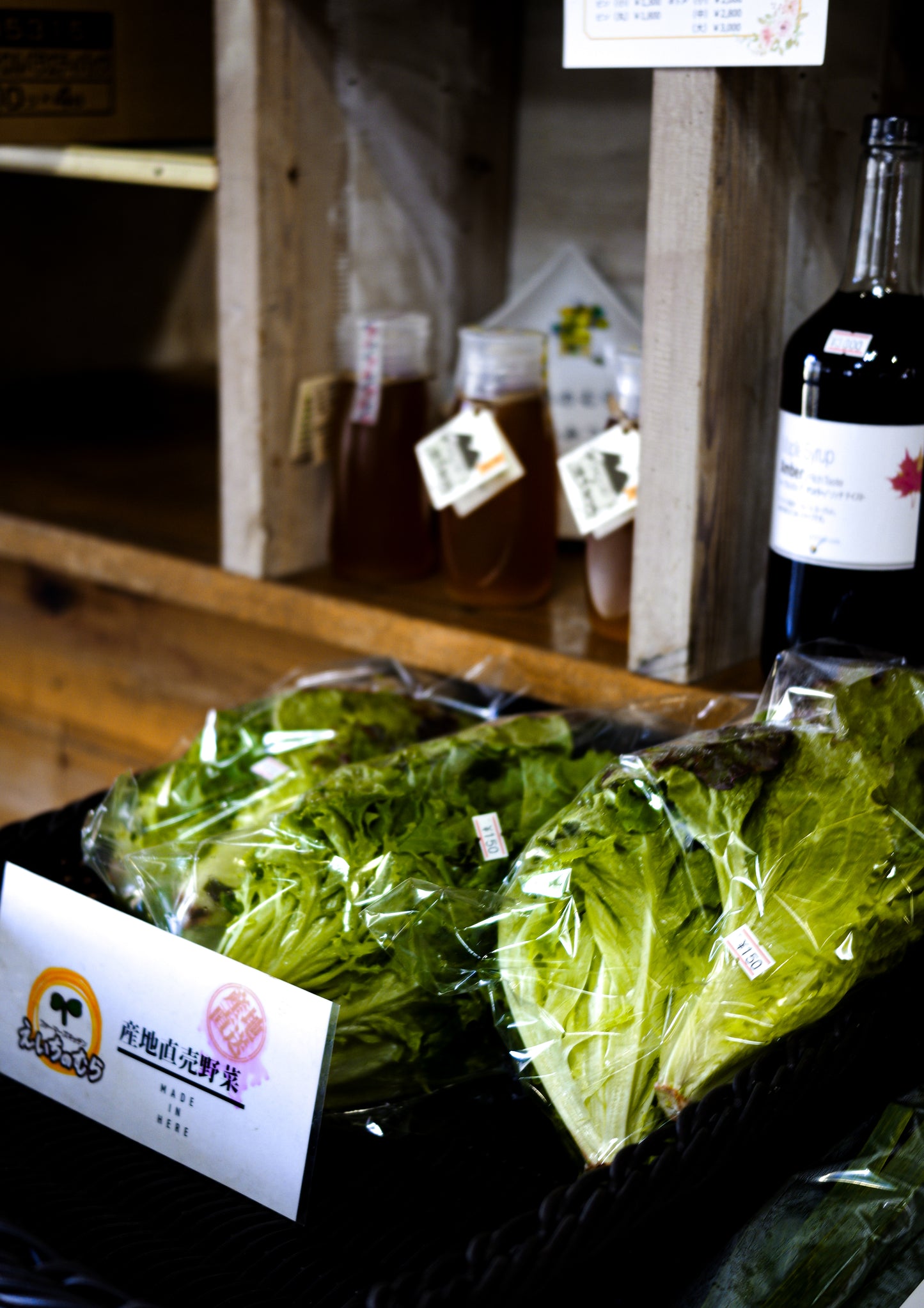 【2026年5月30日-31日】愛犬と遠足｜富士山×朝霧高原｜家族で過ごす1日体験（CUUN）