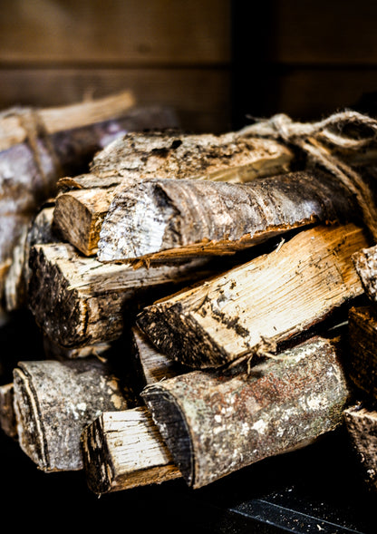 【2026年5月30日-31日】愛犬と遠足｜富士山×朝霧高原｜家族で過ごす1日体験（CUUN）