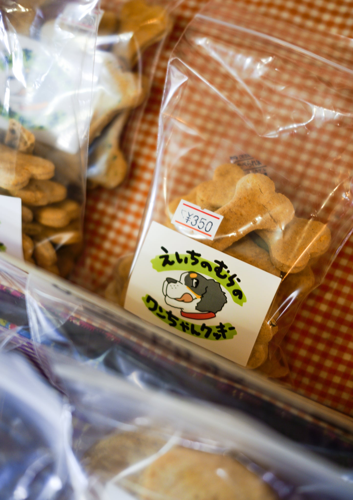 【2026年5月30日-31日】愛犬と遠足｜富士山×朝霧高原｜家族で過ごす1日体験（CUUN）