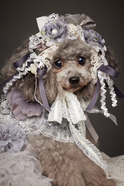 【10/23（木）～24日（金）開催】この一瞬が、永遠になる愛犬撮影会｜東京・代官山 photo by tottoko