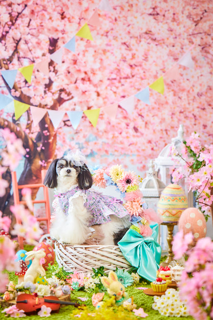 4/25（土）～26日（日）開催｜KOUICHI WATABE フォトセッション＆Maison HARENOHI TOKYO supported by CUUN｜東京
