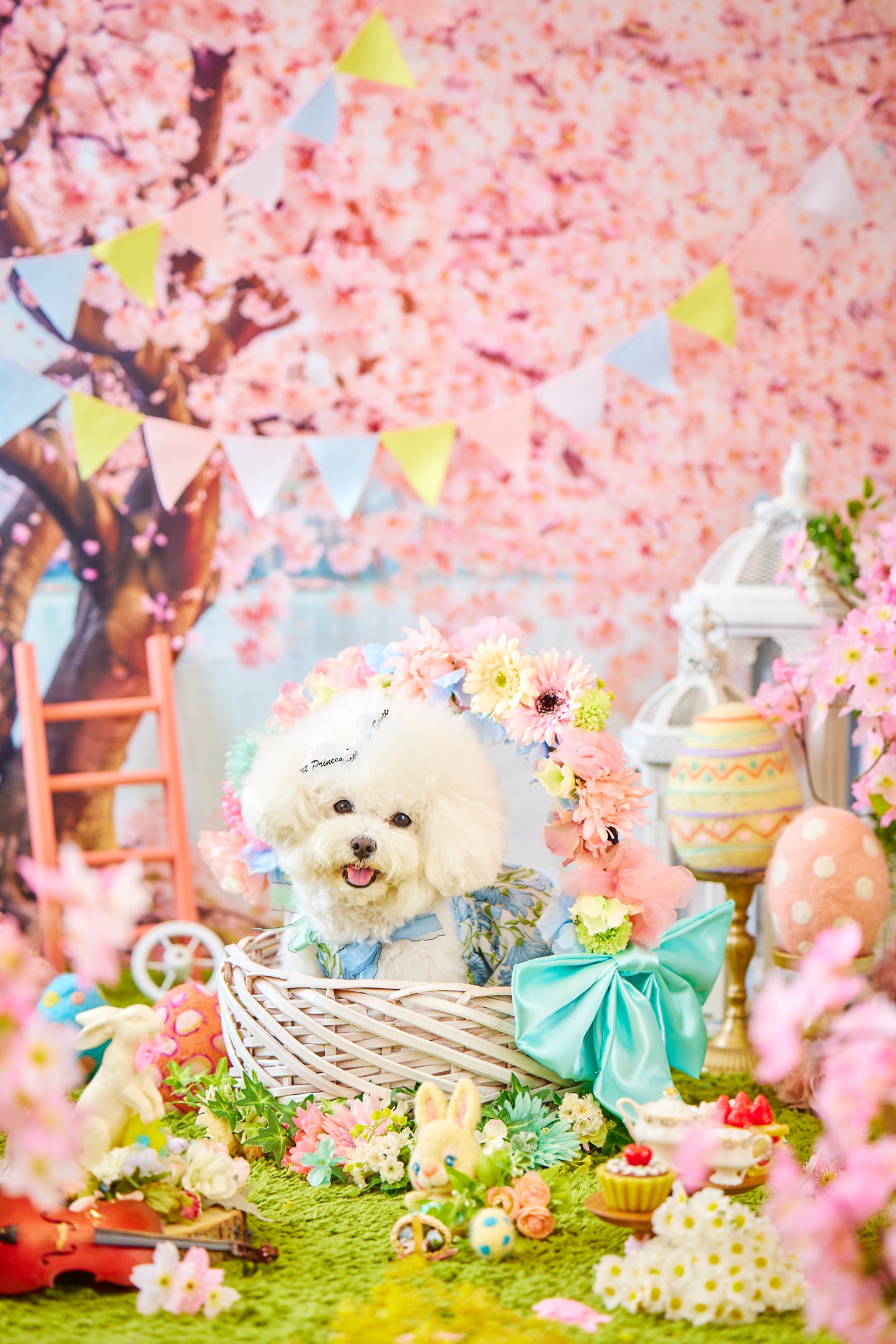 4/25（土）～26日（日）開催｜KOUICHI WATABE フォトセッション＆Maison HARENOHI TOKYO supported by CUUN｜東京