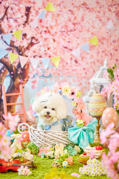 4/25（土）～26日（日）開催｜KOUICHI WATABE フォトセッション＆Maison HARENOHI TOKYO supported by CUUN｜東京