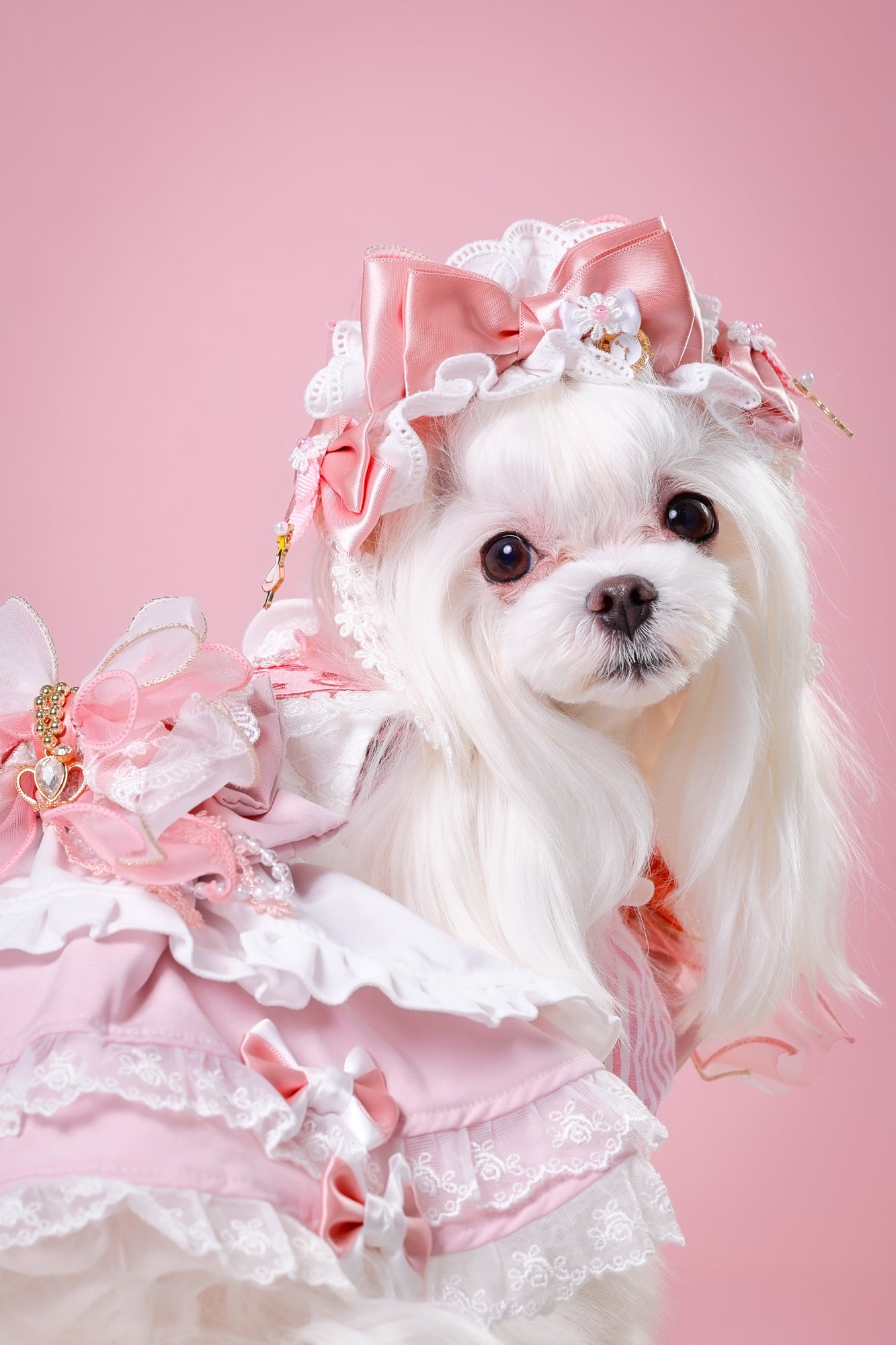 【大阪府大阪市】CUUN撮影会＆表紙モデルオーディション｜プロカメラマン撮影・雑誌掲載チャンス【2026年1月31日（土）～2月1日（日）開催】