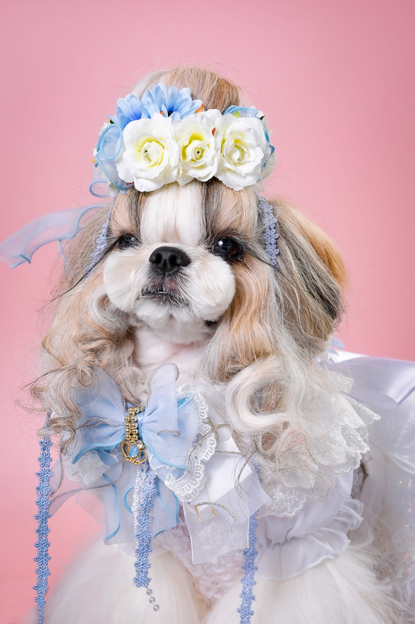 【大阪府大阪市】CUUN撮影会＆表紙モデルオーディション｜プロカメラマン撮影・雑誌掲載チャンス【2026年1月31日（土）～2月1日（日）開催】