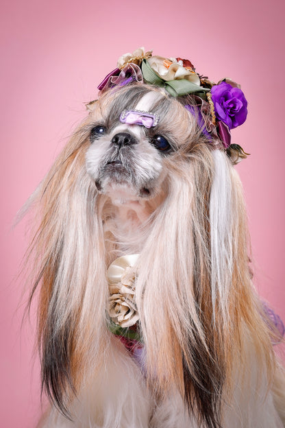 【大阪府大阪市】CUUN撮影会＆表紙モデルオーディション｜プロカメラマン撮影・雑誌掲載チャンス【2026年1月31日（土）～2月1日（日）開催】