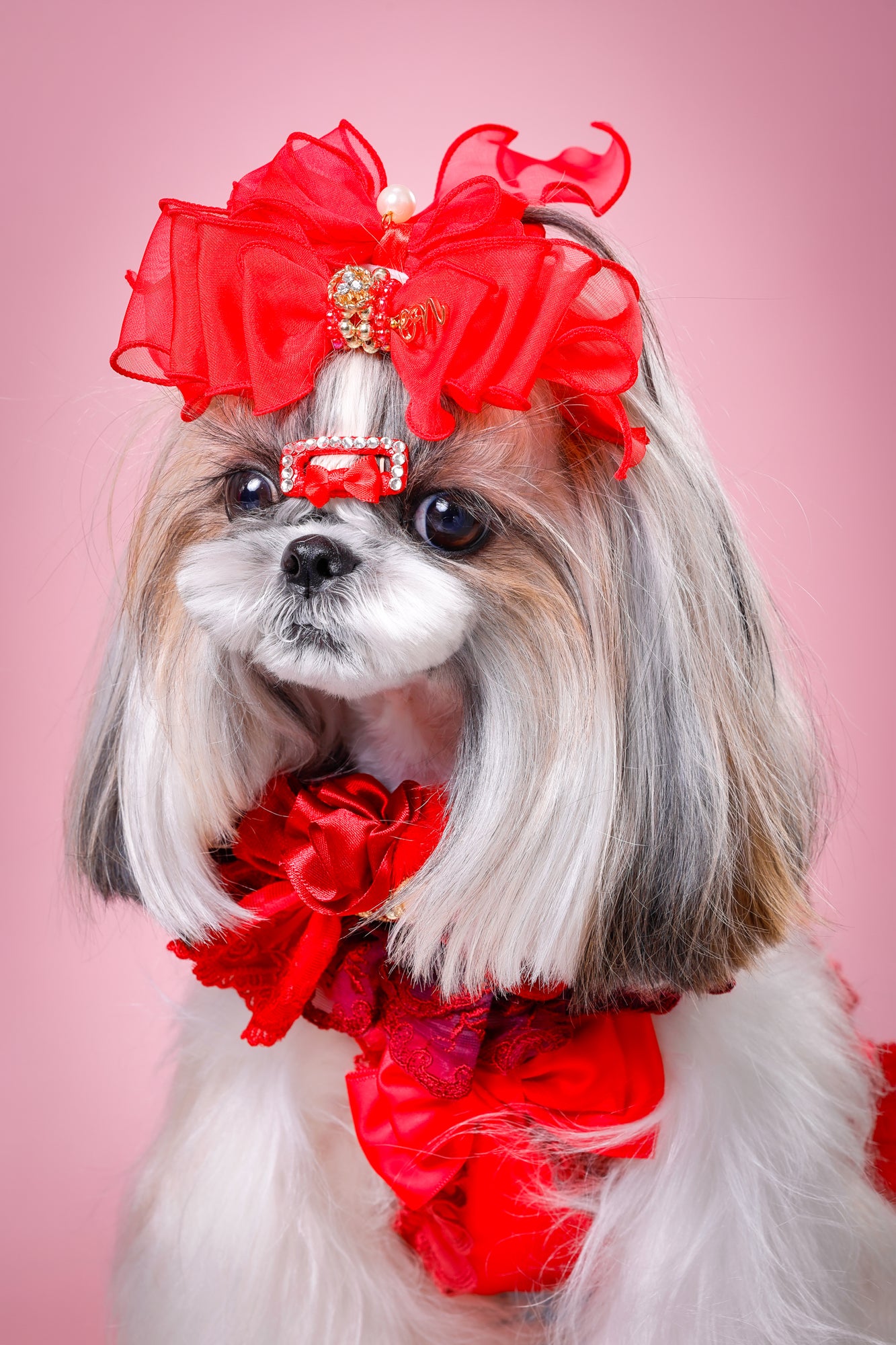 【大阪府大阪市】CUUN撮影会＆表紙モデルオーディション｜プロカメラマン撮影・雑誌掲載チャンス【2026年1月31日（土）～2月1日（日）開催】