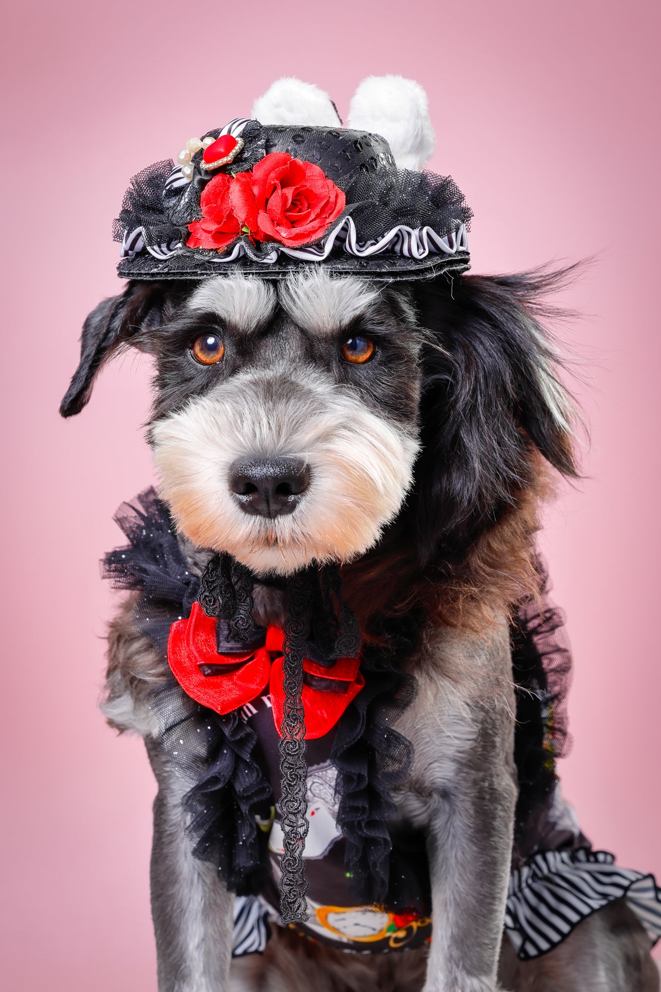 【大阪府大阪市】CUUN撮影会＆表紙モデルオーディション｜プロカメラマン撮影・雑誌掲載チャンス【2026年1月31日（土）～2月1日（日）開催】