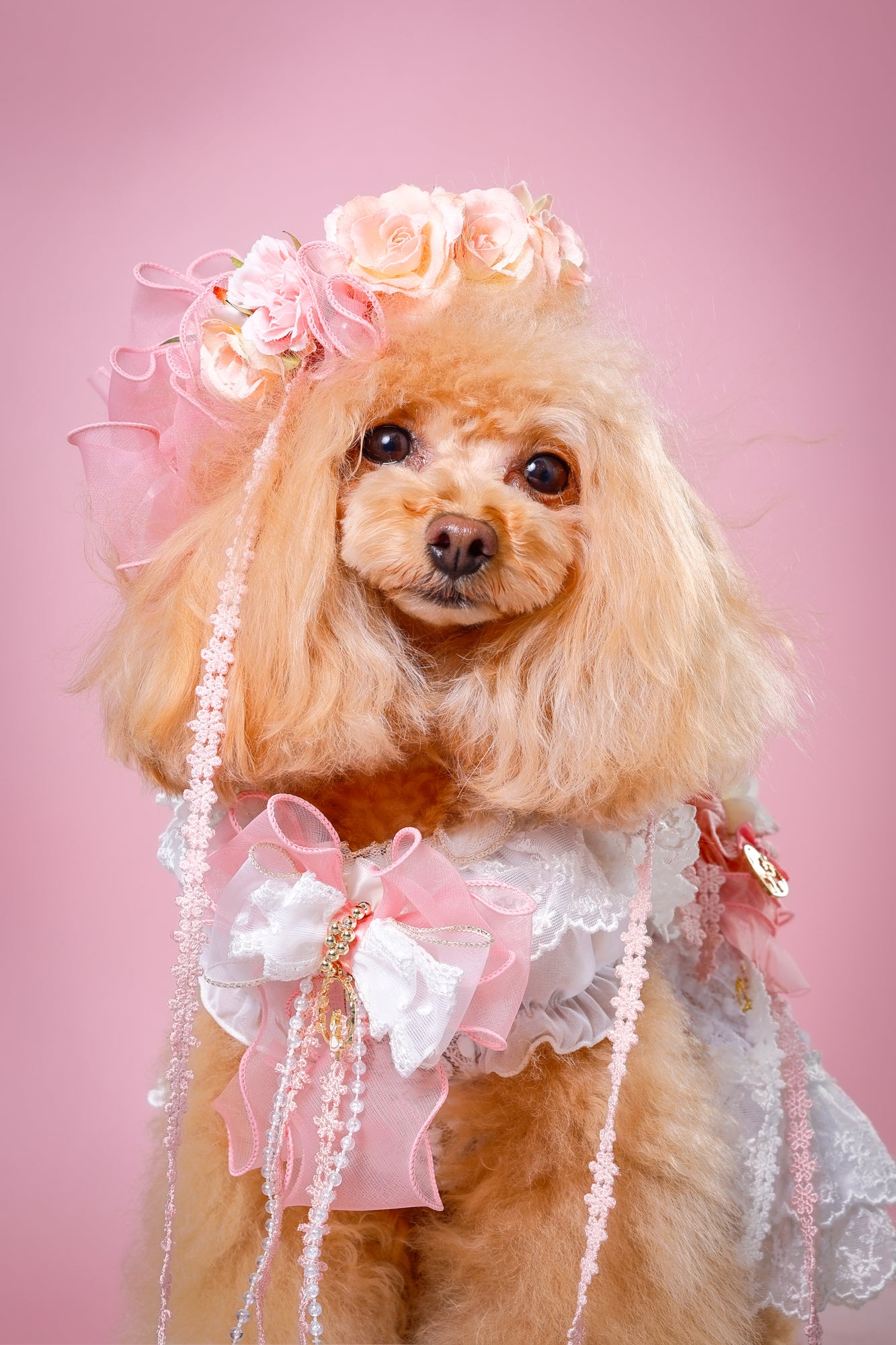 【大阪府大阪市】CUUN撮影会＆表紙モデルオーディション｜プロカメラマン撮影・雑誌掲載チャンス【2026年1月31日（土）～2月1日（日）開催】