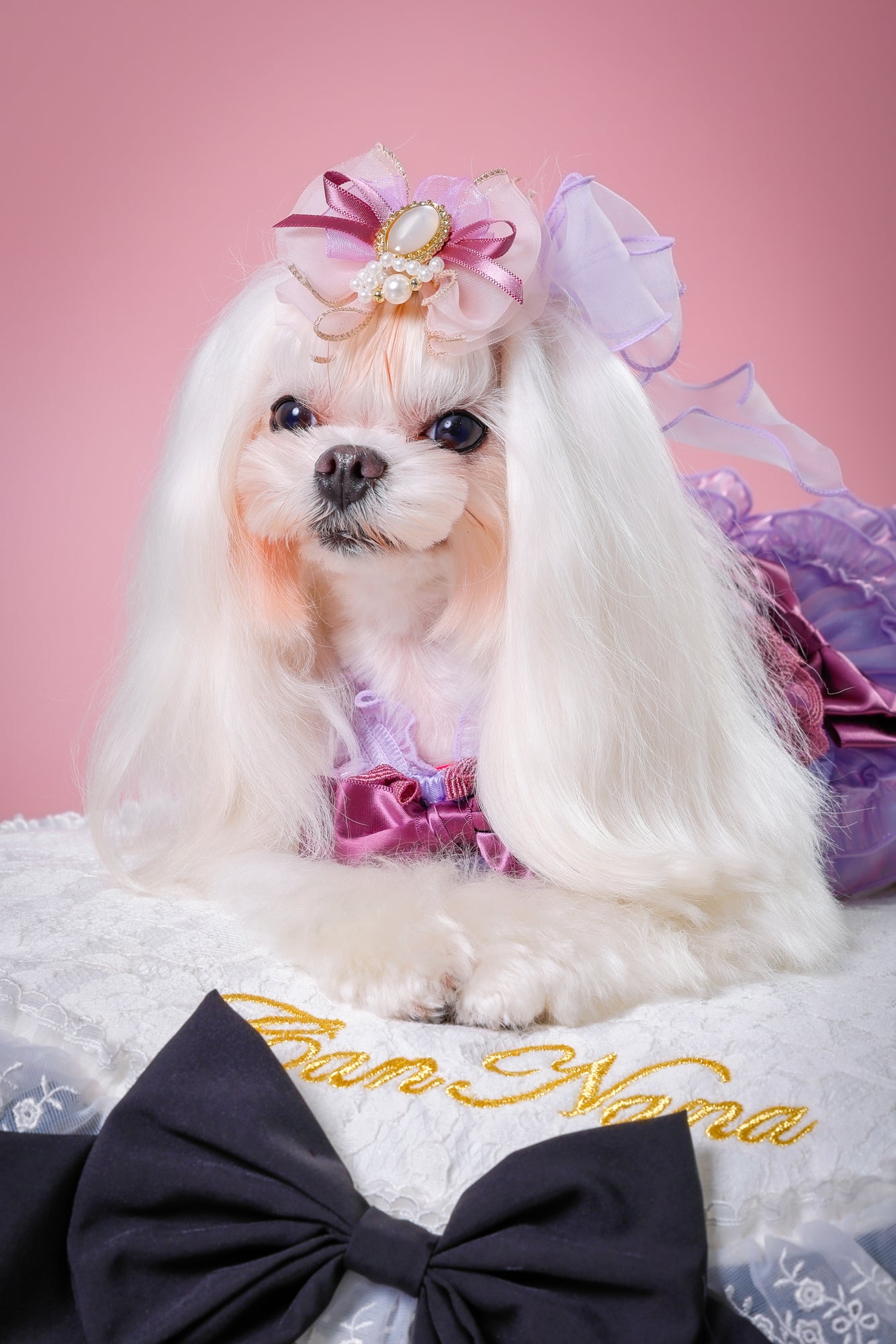 【大阪府大阪市】CUUN撮影会＆表紙モデルオーディション｜プロカメラマン撮影・雑誌掲載チャンス【2026年1月31日（土）～2月1日（日）開催】