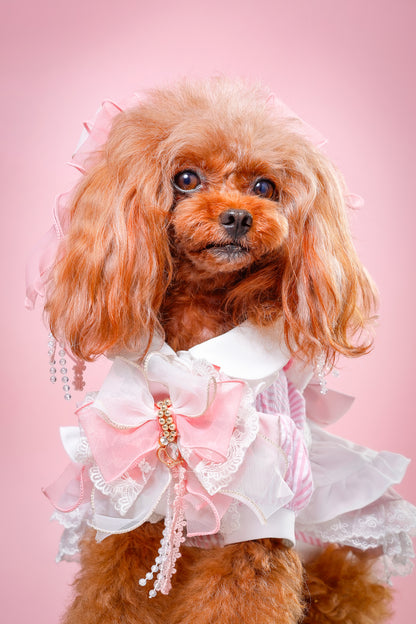 【大阪府大阪市】CUUN撮影会＆表紙モデルオーディション｜プロカメラマン撮影・雑誌掲載チャンス【2026年1月31日（土）～2月1日（日）開催】