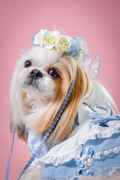 【大阪府大阪市】CUUN撮影会＆表紙モデルオーディション｜プロカメラマン撮影・雑誌掲載チャンス【2026年1月31日（土）～2月1日（日）開催】