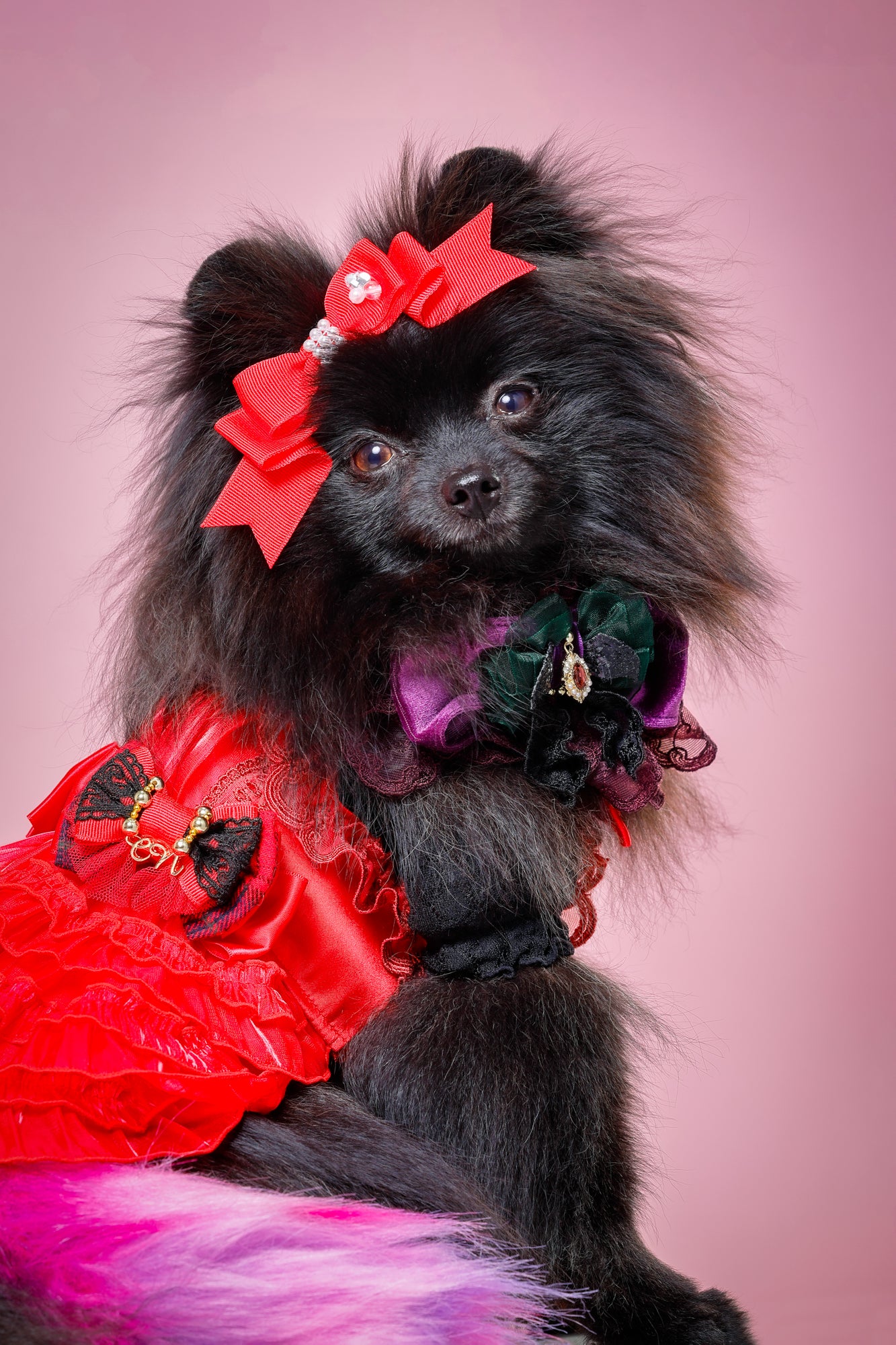 【大阪府大阪市】CUUN撮影会＆表紙モデルオーディション｜プロカメラマン撮影・雑誌掲載チャンス【2026年1月31日（土）～2月1日（日）開催】