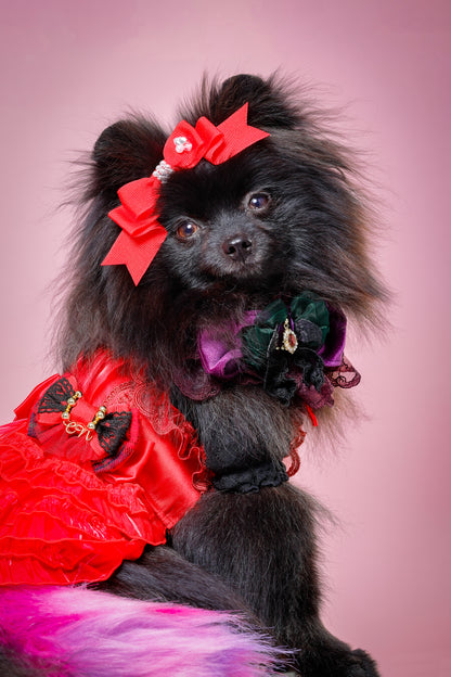 【大阪府大阪市】CUUN撮影会＆表紙モデルオーディション｜プロカメラマン撮影・雑誌掲載チャンス【2026年1月31日（土）～2月1日（日）開催】