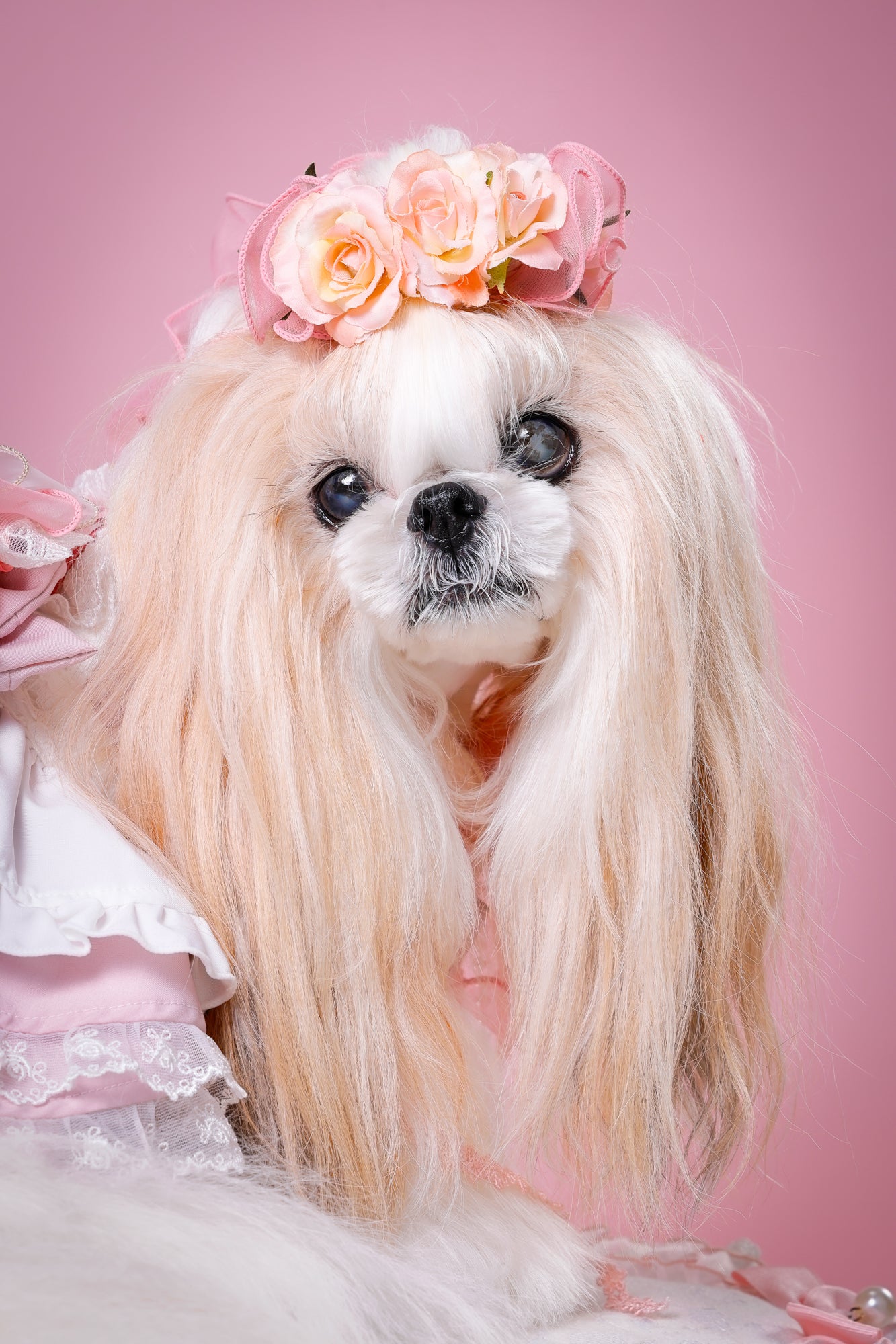 【大阪府大阪市】CUUN撮影会＆表紙モデルオーディション｜プロカメラマン撮影・雑誌掲載チャンス【2026年1月31日（土）～2月1日（日）開催】