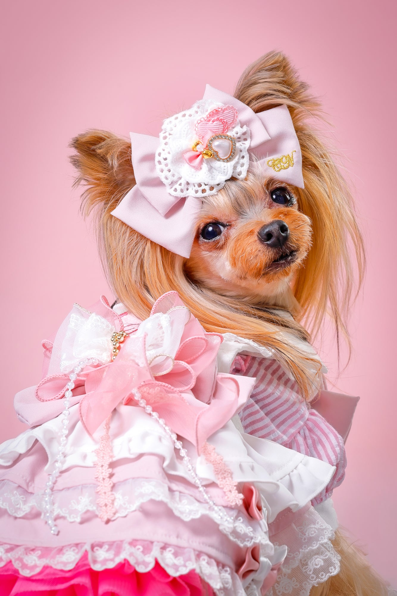 【大阪府大阪市】CUUN撮影会＆表紙モデルオーディション｜プロカメラマン撮影・雑誌掲載チャンス【2026年1月31日（土）～2月1日（日）開催】