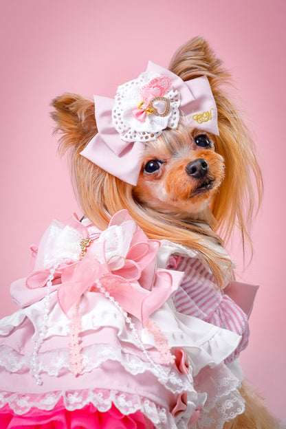 【大阪府大阪市】CUUN撮影会＆表紙モデルオーディション｜プロカメラマン撮影・雑誌掲載チャンス【2026年1月31日（土）～2月1日（日）開催】