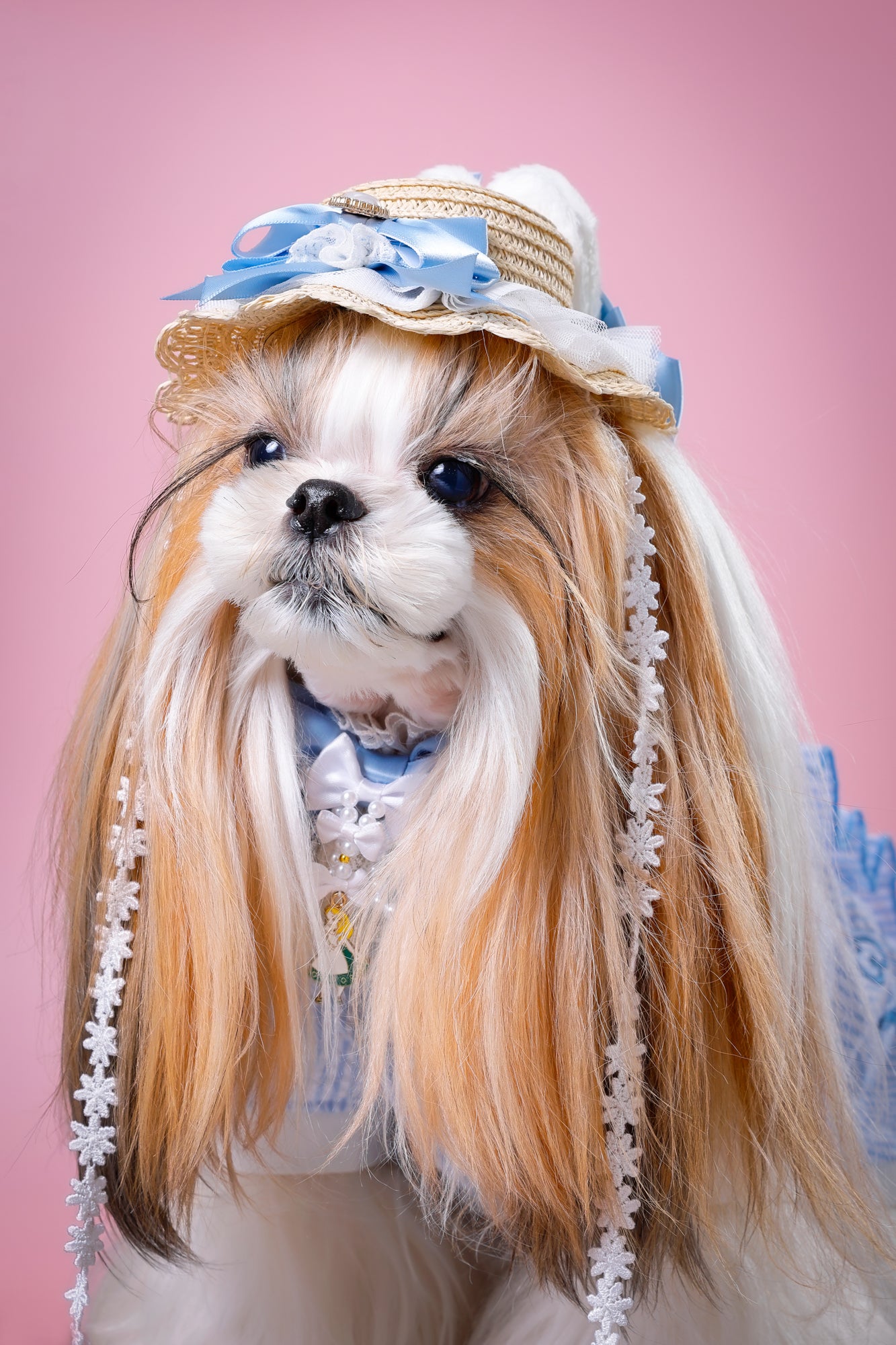 【大阪府大阪市】CUUN撮影会＆表紙モデルオーディション｜プロカメラマン撮影・雑誌掲載チャンス【2026年1月31日（土）～2月1日（日）開催】