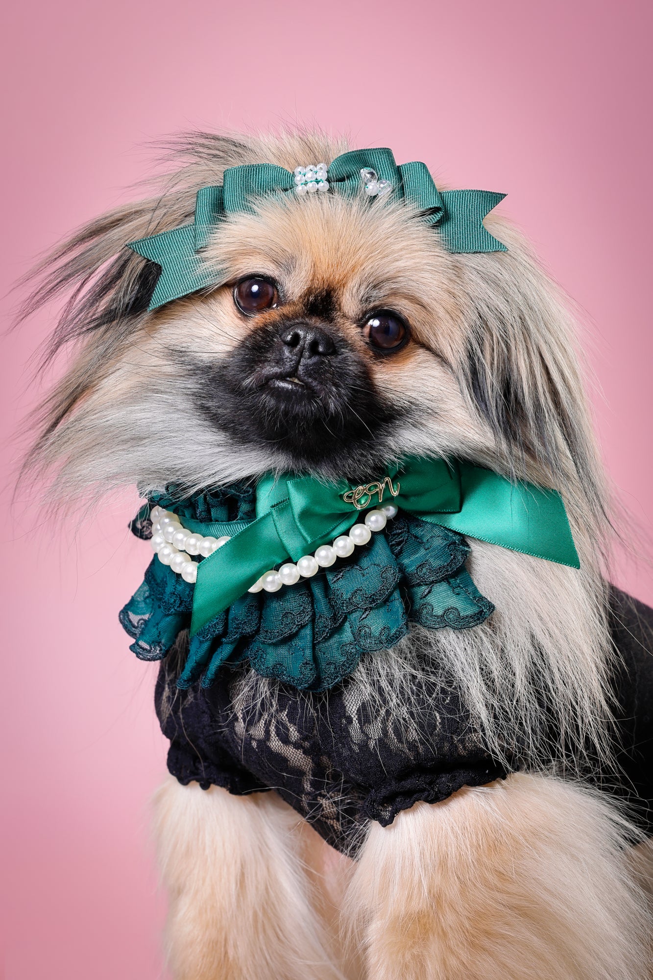 【大阪府大阪市】CUUN撮影会＆表紙モデルオーディション｜プロカメラマン撮影・雑誌掲載チャンス【2026年1月31日（土）～2月1日（日）開催】