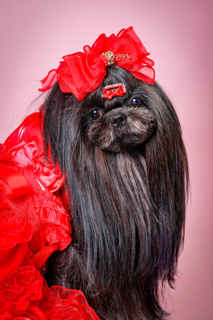 【大阪府大阪市】CUUN撮影会＆表紙モデルオーディション｜プロカメラマン撮影・雑誌掲載チャンス【2026年1月31日（土）～2月1日（日）開催】