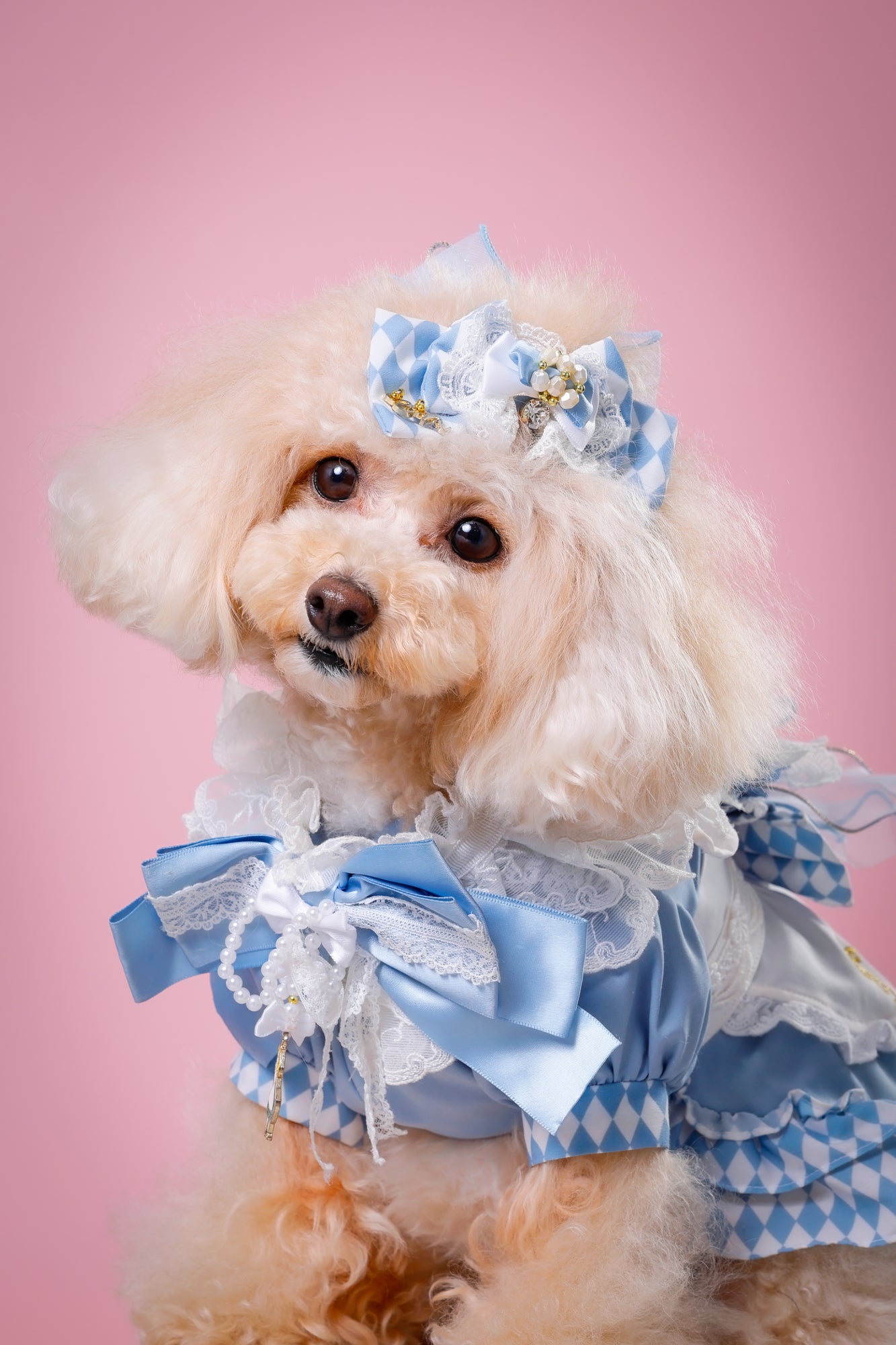 【大阪府大阪市】CUUN撮影会＆表紙モデルオーディション｜プロカメラマン撮影・雑誌掲載チャンス【2026年1月31日（土）～2月1日（日）開催】