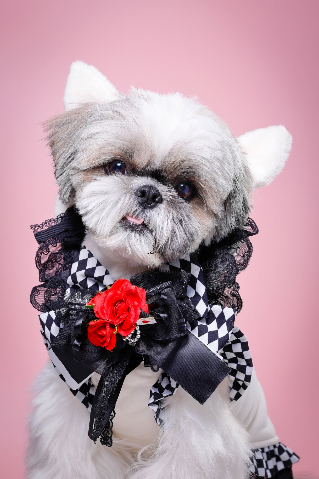 【大阪府大阪市】CUUN撮影会＆表紙モデルオーディション｜プロカメラマン撮影・雑誌掲載チャンス【2026年1月31日（土）～2月1日（日）開催】