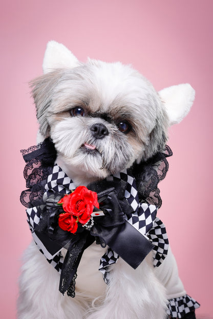 【大阪府大阪市】CUUN撮影会＆表紙モデルオーディション｜プロカメラマン撮影・雑誌掲載チャンス【2026年1月31日（土）～2月1日（日）開催】