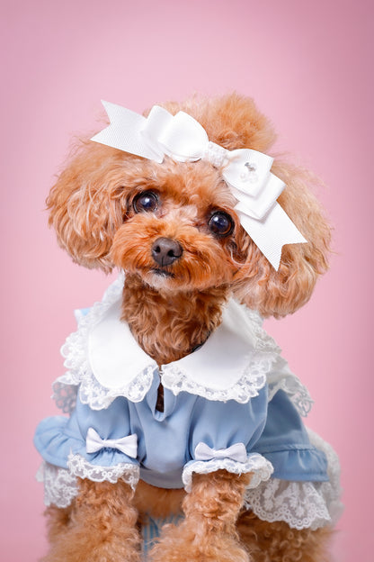 【大阪府大阪市】CUUN撮影会＆表紙モデルオーディション｜プロカメラマン撮影・雑誌掲載チャンス【2026年1月31日（土）～2月1日（日）開催】