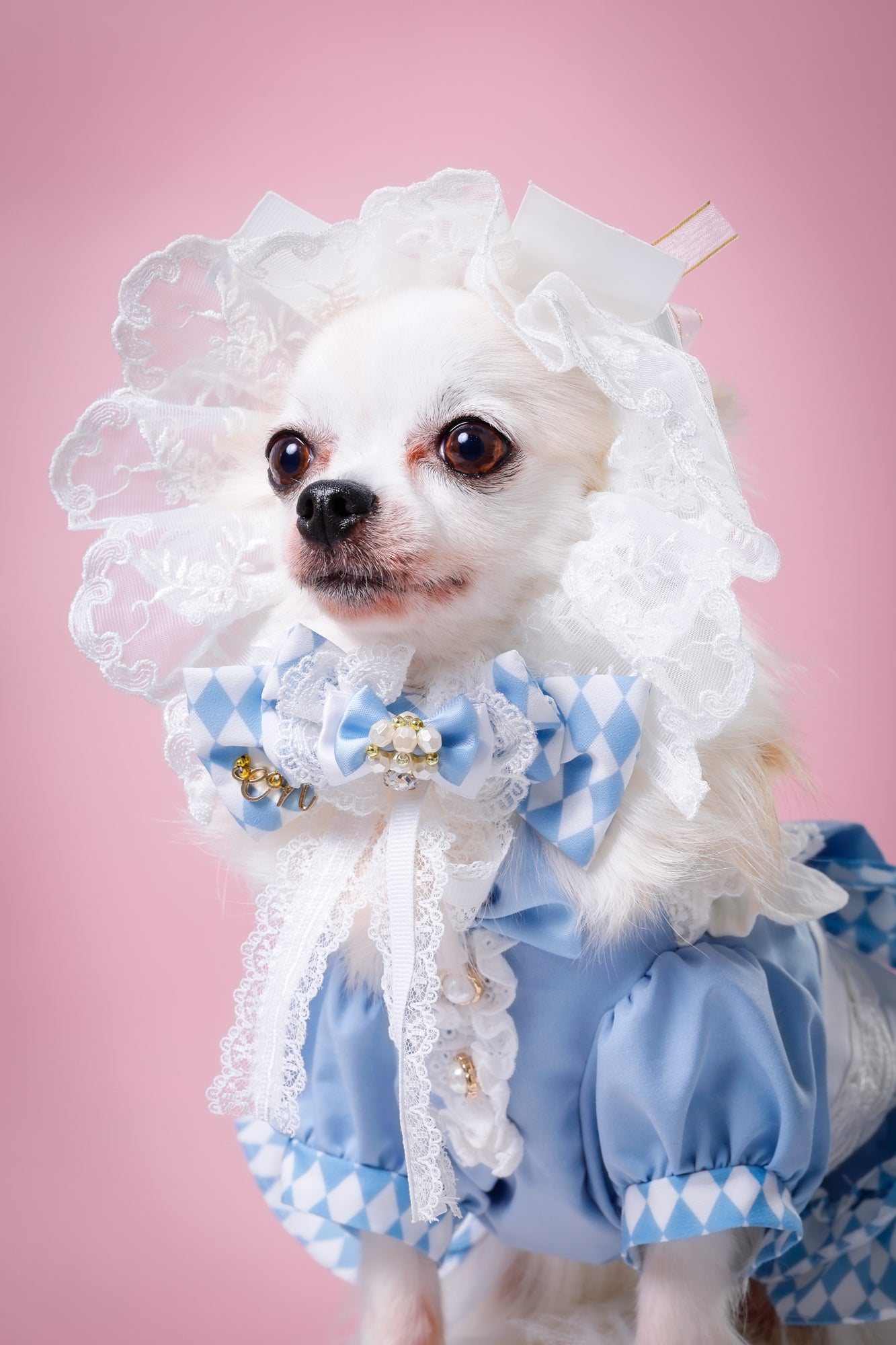 【大阪府大阪市】CUUN撮影会＆表紙モデルオーディション｜プロカメラマン撮影・雑誌掲載チャンス【2026年1月31日（土）～2月1日（日）開催】