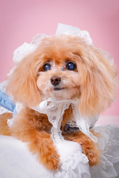 【大阪府大阪市】CUUN撮影会＆表紙モデルオーディション｜プロカメラマン撮影・雑誌掲載チャンス【2026年1月31日（土）～2月1日（日）開催】