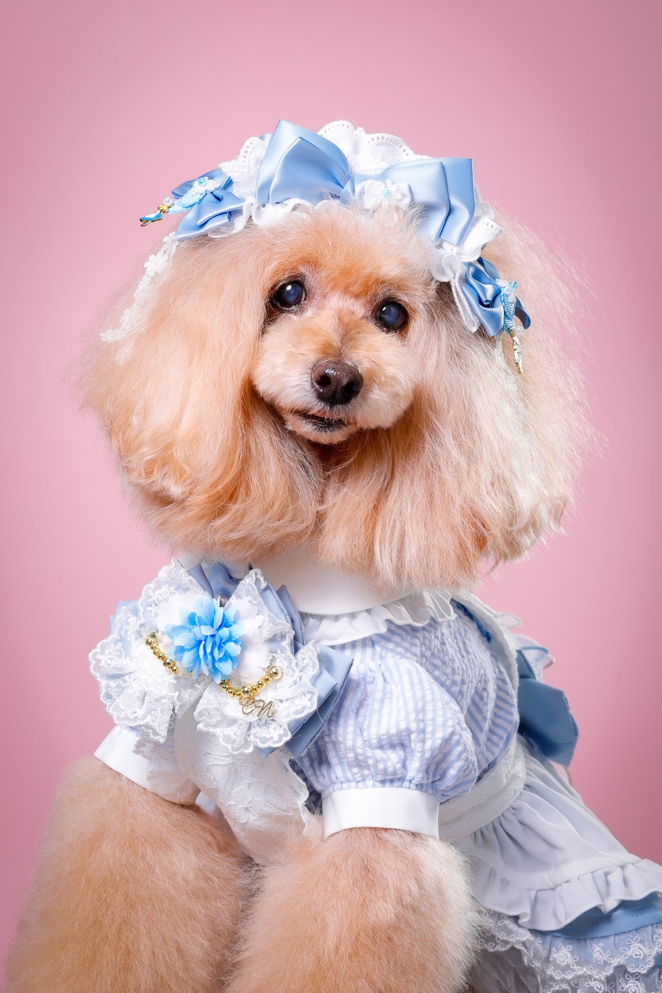 【大阪府大阪市】CUUN撮影会＆表紙モデルオーディション｜プロカメラマン撮影・雑誌掲載チャンス【2026年1月31日（土）～2月1日（日）開催】