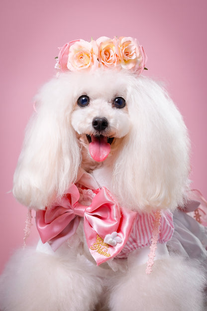 【大阪府大阪市】CUUN撮影会＆表紙モデルオーディション｜プロカメラマン撮影・雑誌掲載チャンス【2026年1月31日（土）～2月1日（日）開催】