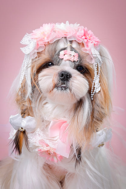 【大阪府大阪市】CUUN撮影会＆表紙モデルオーディション｜プロカメラマン撮影・雑誌掲載チャンス【2026年1月31日（土）～2月1日（日）開催】