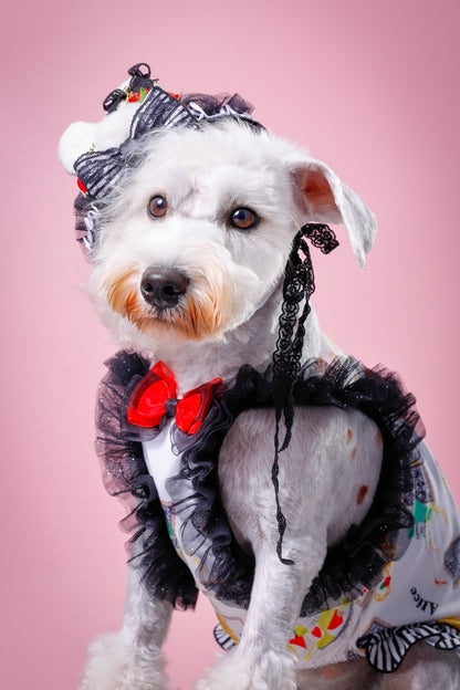 【大阪府大阪市】CUUN撮影会＆表紙モデルオーディション｜プロカメラマン撮影・雑誌掲載チャンス【2026年1月31日（土）～2月1日（日）開催】