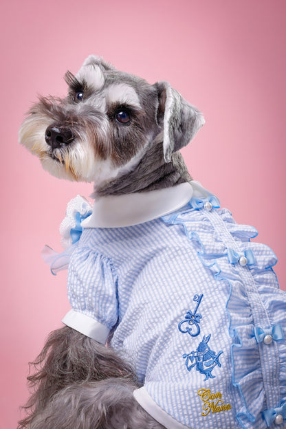 【大阪府大阪市】CUUN撮影会＆表紙モデルオーディション｜プロカメラマン撮影・雑誌掲載チャンス【2026年1月31日（土）～2月1日（日）開催】