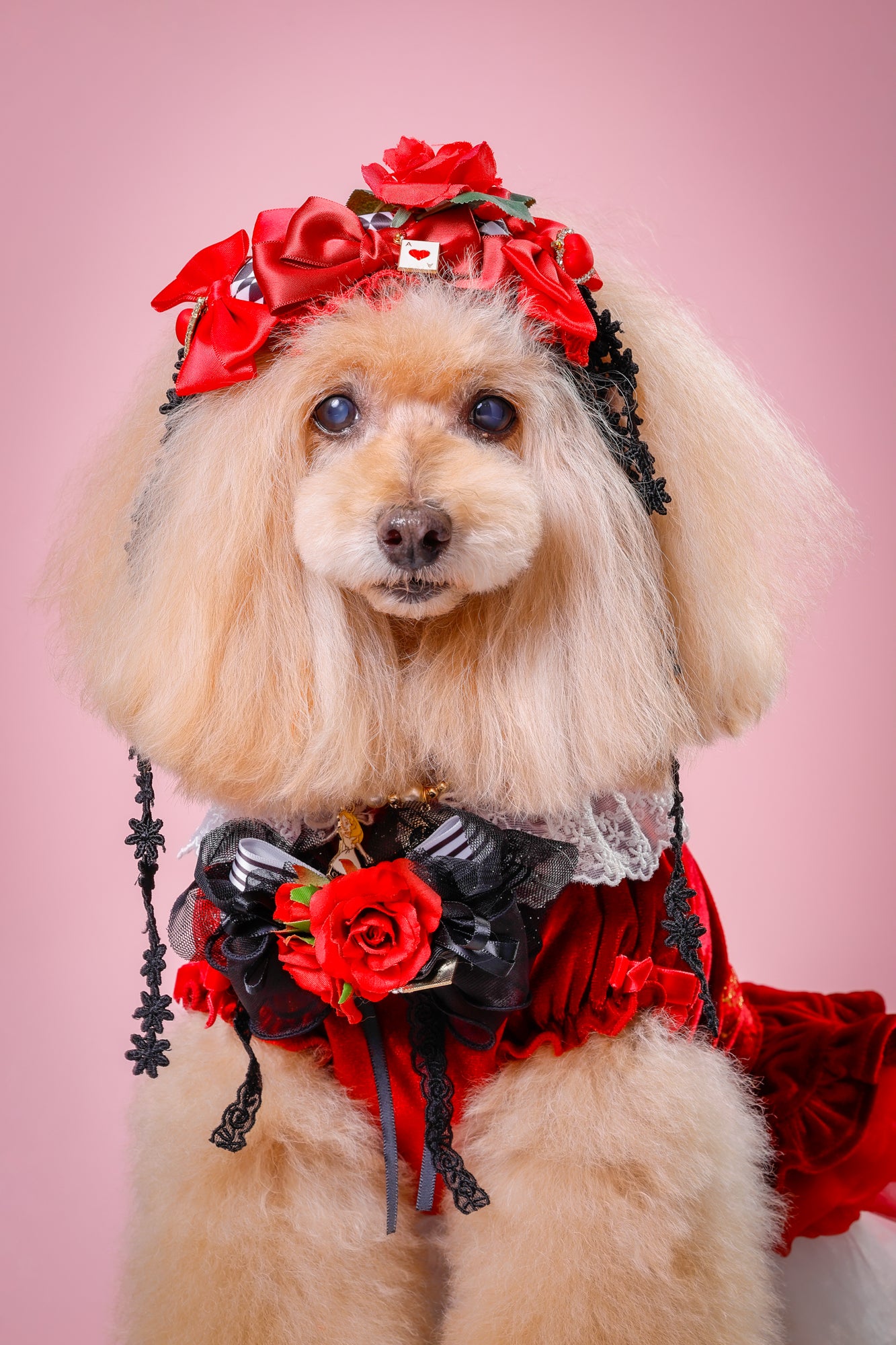 【大阪府大阪市】CUUN撮影会＆表紙モデルオーディション｜プロカメラマン撮影・雑誌掲載チャンス【2026年1月31日（土）～2月1日（日）開催】