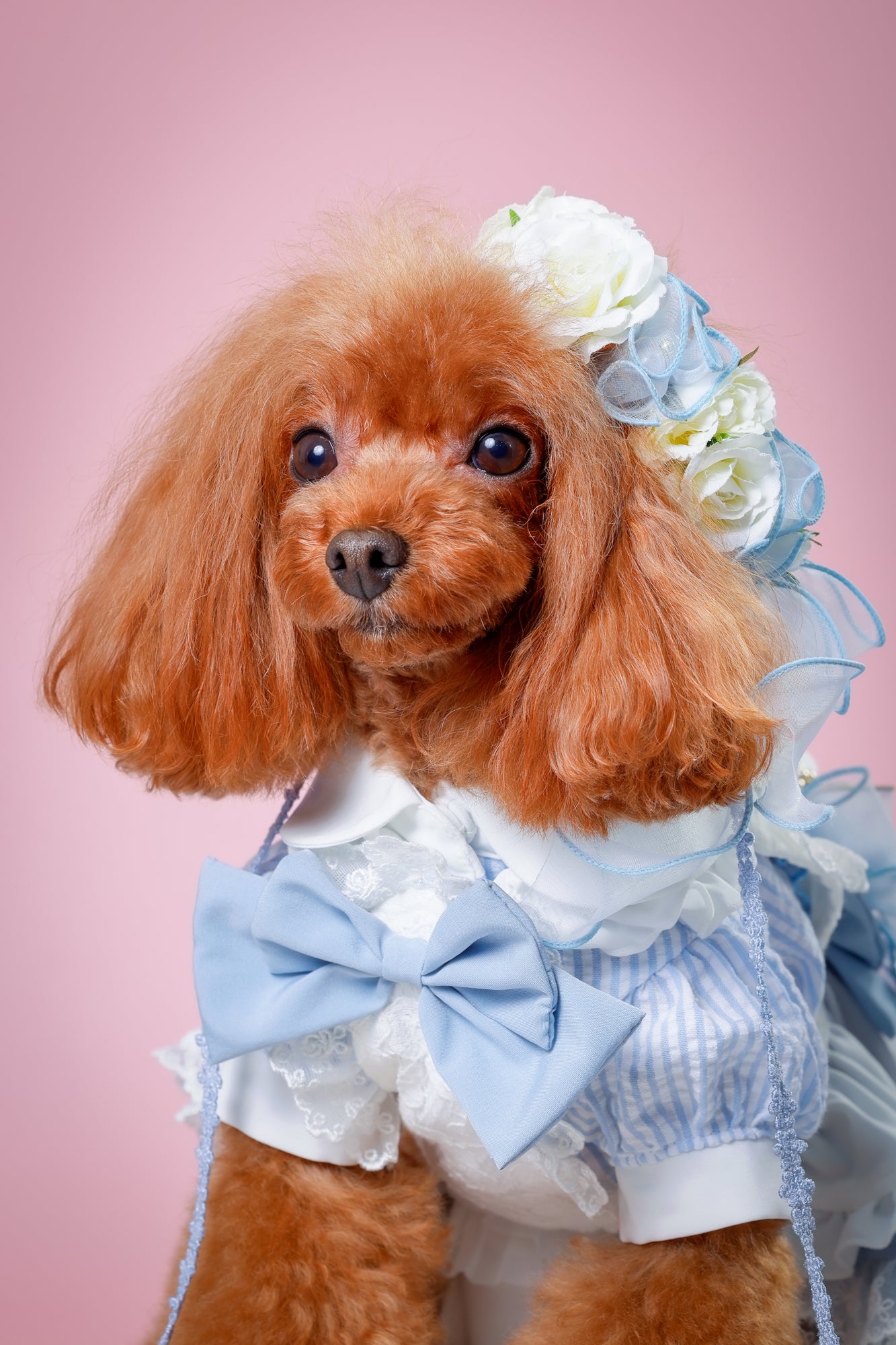 【大阪府大阪市】CUUN撮影会＆表紙モデルオーディション｜プロカメラマン撮影・雑誌掲載チャンス【2026年1月31日（土）～2月1日（日）開催】