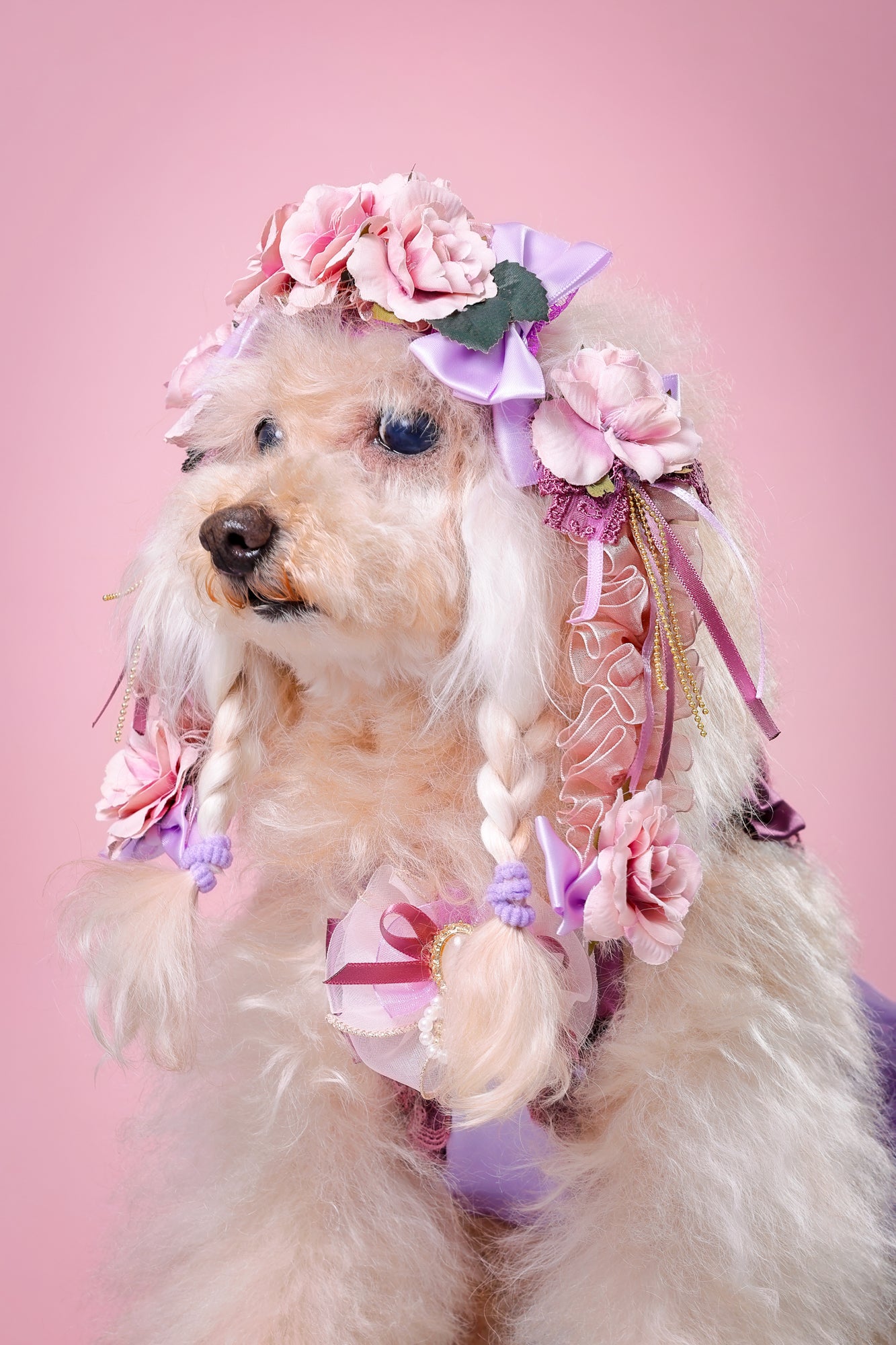 【大阪府大阪市】CUUN撮影会＆表紙モデルオーディション｜プロカメラマン撮影・雑誌掲載チャンス【2026年1月31日（土）～2月1日（日）開催】