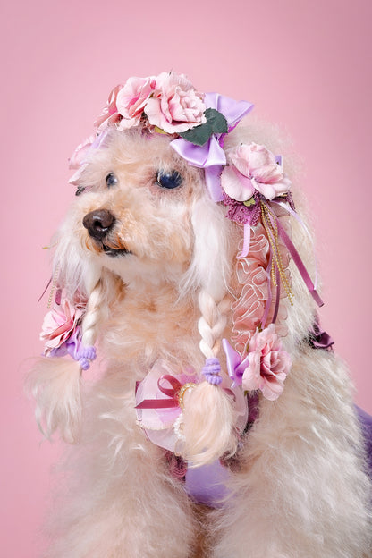 【大阪府大阪市】CUUN撮影会＆表紙モデルオーディション｜プロカメラマン撮影・雑誌掲載チャンス【2026年1月31日（土）～2月1日（日）開催】