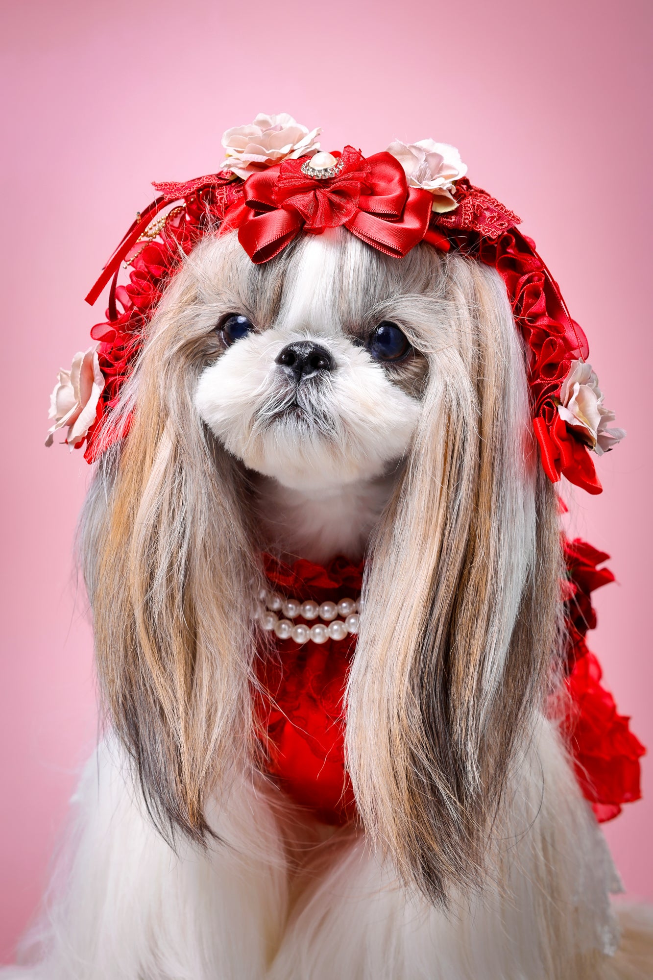 【大阪府大阪市】CUUN撮影会＆表紙モデルオーディション｜プロカメラマン撮影・雑誌掲載チャンス【2026年1月31日（土）～2月1日（日）開催】