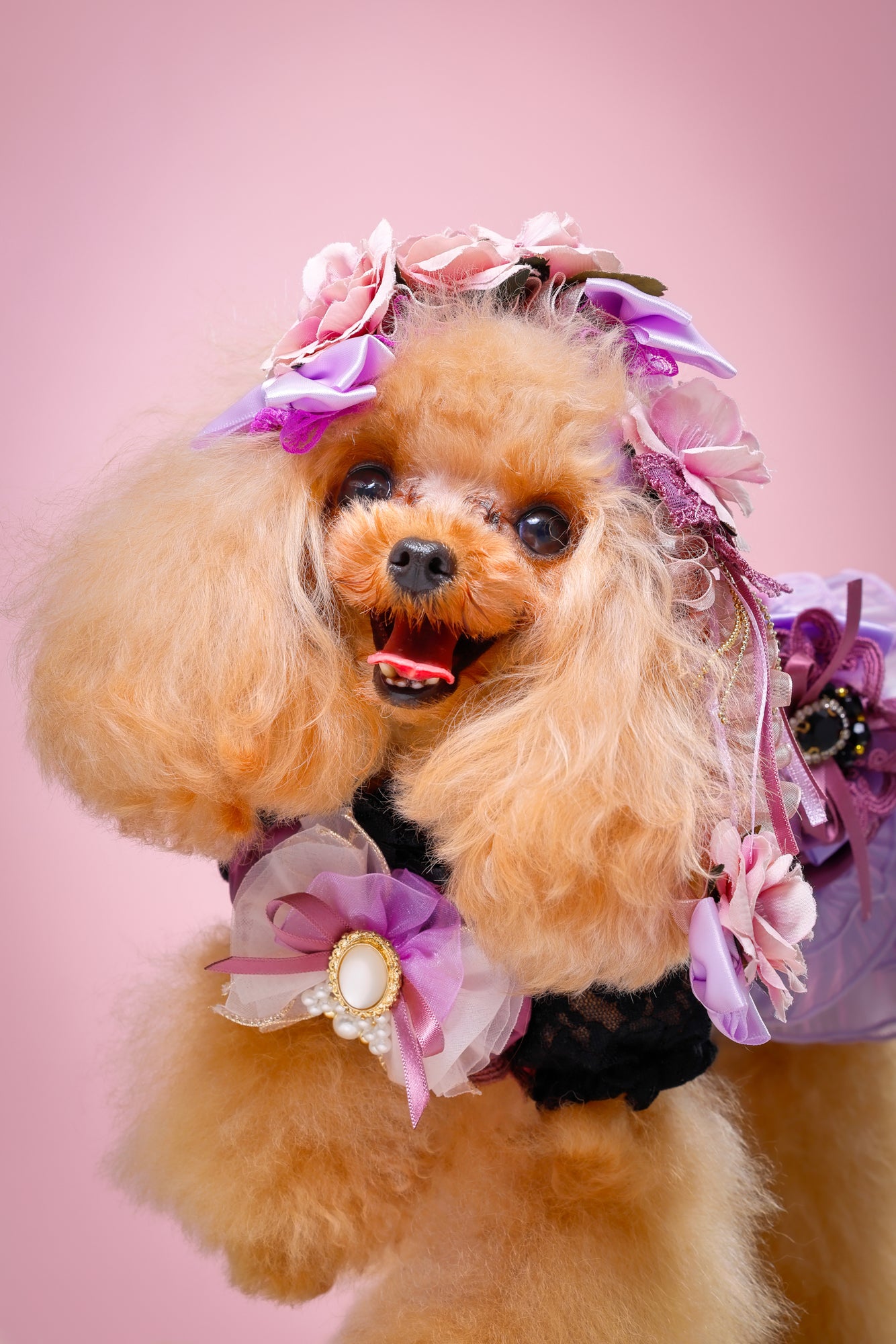 【大阪府大阪市】CUUN撮影会＆表紙モデルオーディション｜プロカメラマン撮影・雑誌掲載チャンス【2026年1月31日（土）～2月1日（日）開催】