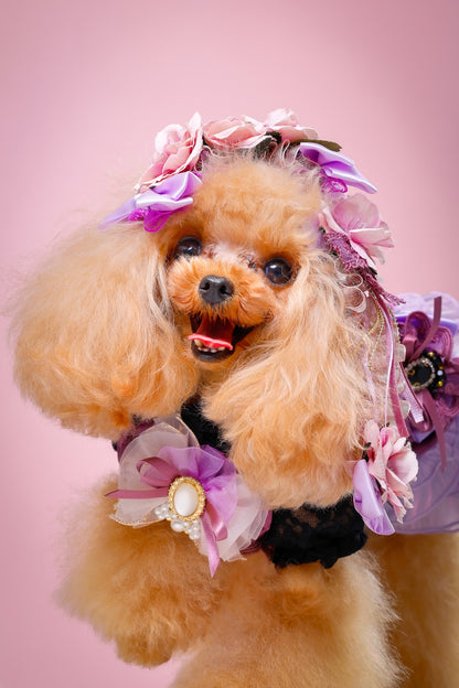 【大阪府大阪市】CUUN撮影会＆表紙モデルオーディション｜プロカメラマン撮影・雑誌掲載チャンス【2026年1月31日（土）～2月1日（日）開催】